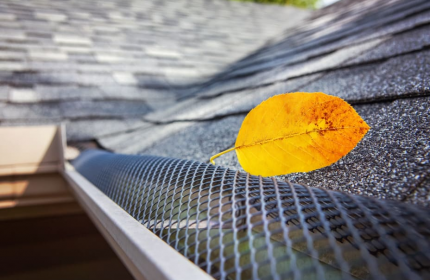 Gutter Maintenance On North Side Buildings